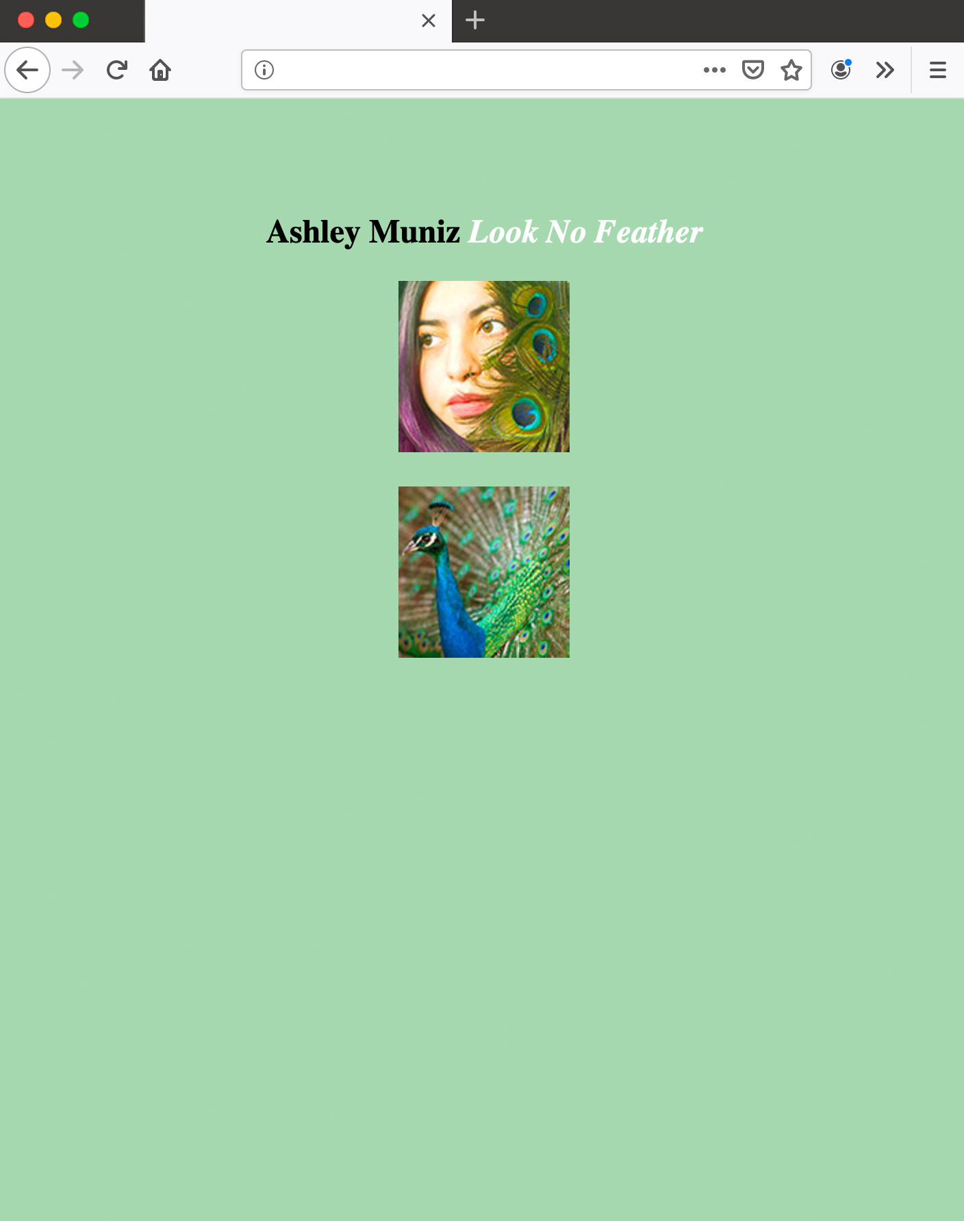 click to view example html pages